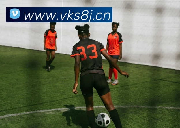 球盟会登录地址平台生态图